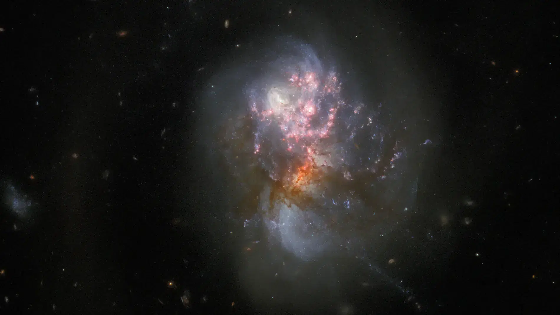 Galaxias, cúmulos y evolución de la especie humana Galaxias, cúmulos y evolución de la especie humana