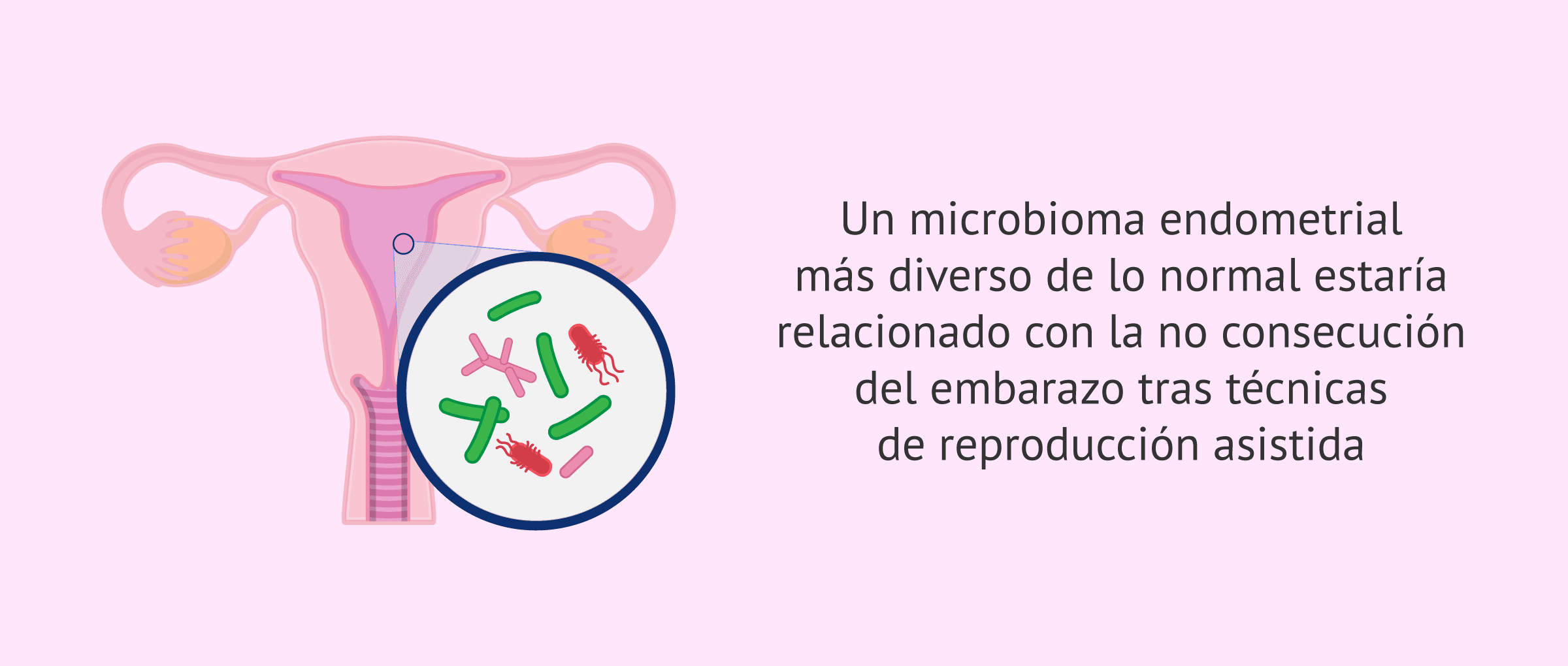 microbioma y éxito del embarazo microbioma y éxito del embarazo