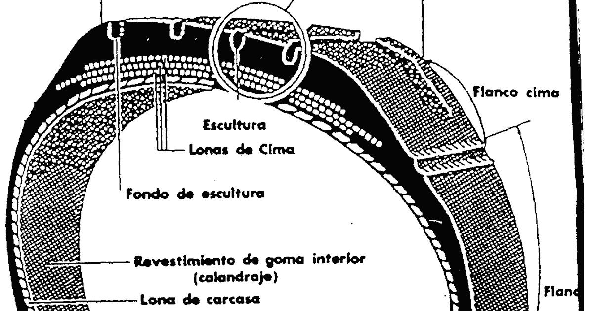 funciones del neumatico funciones del neumatico
