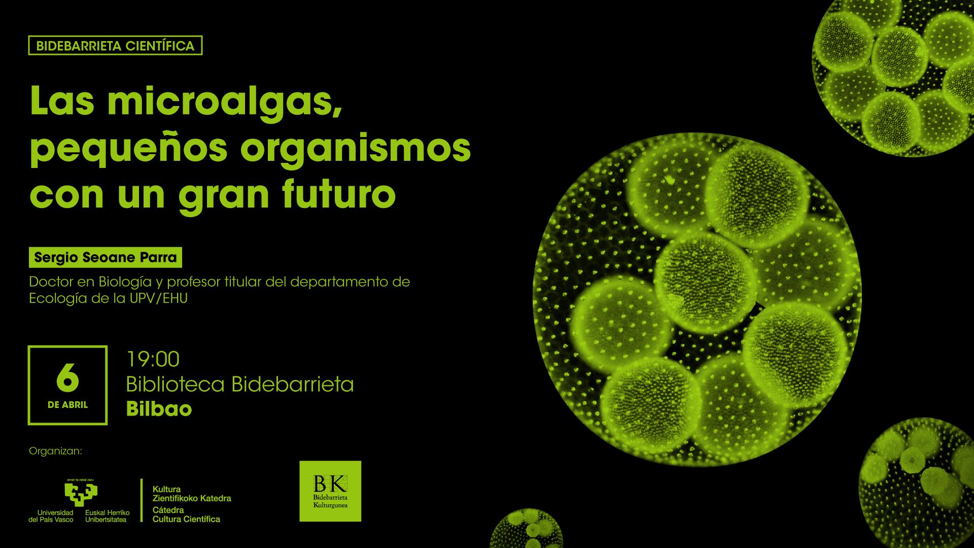 Microalgas y metabolismo energético