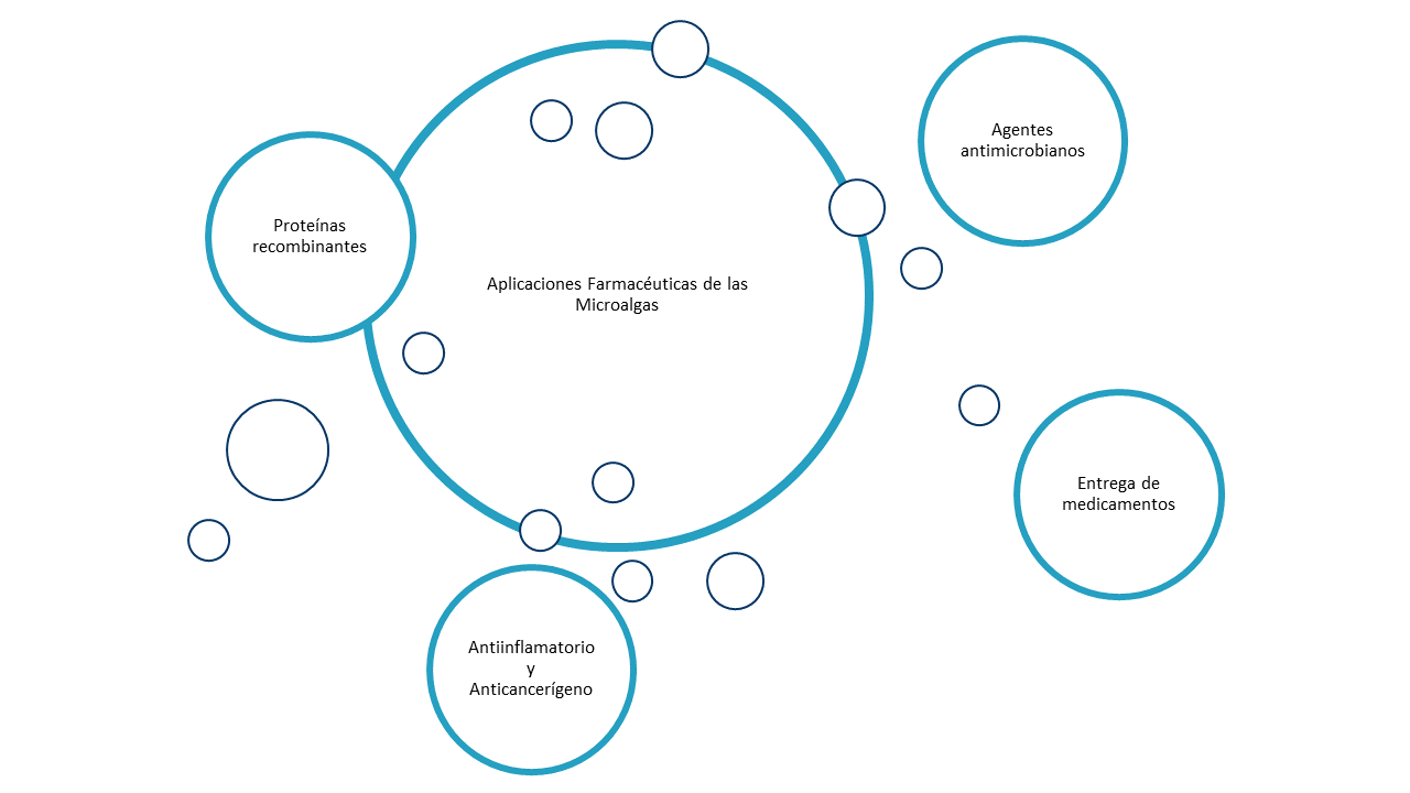 Propiedades nutricionales de las microalgas