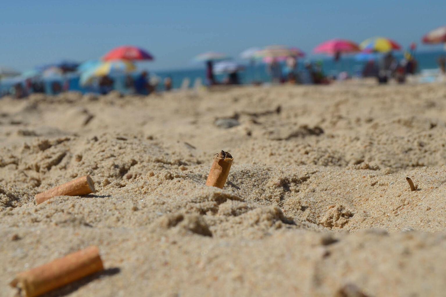 Desechos de tabaco en la naturaleza