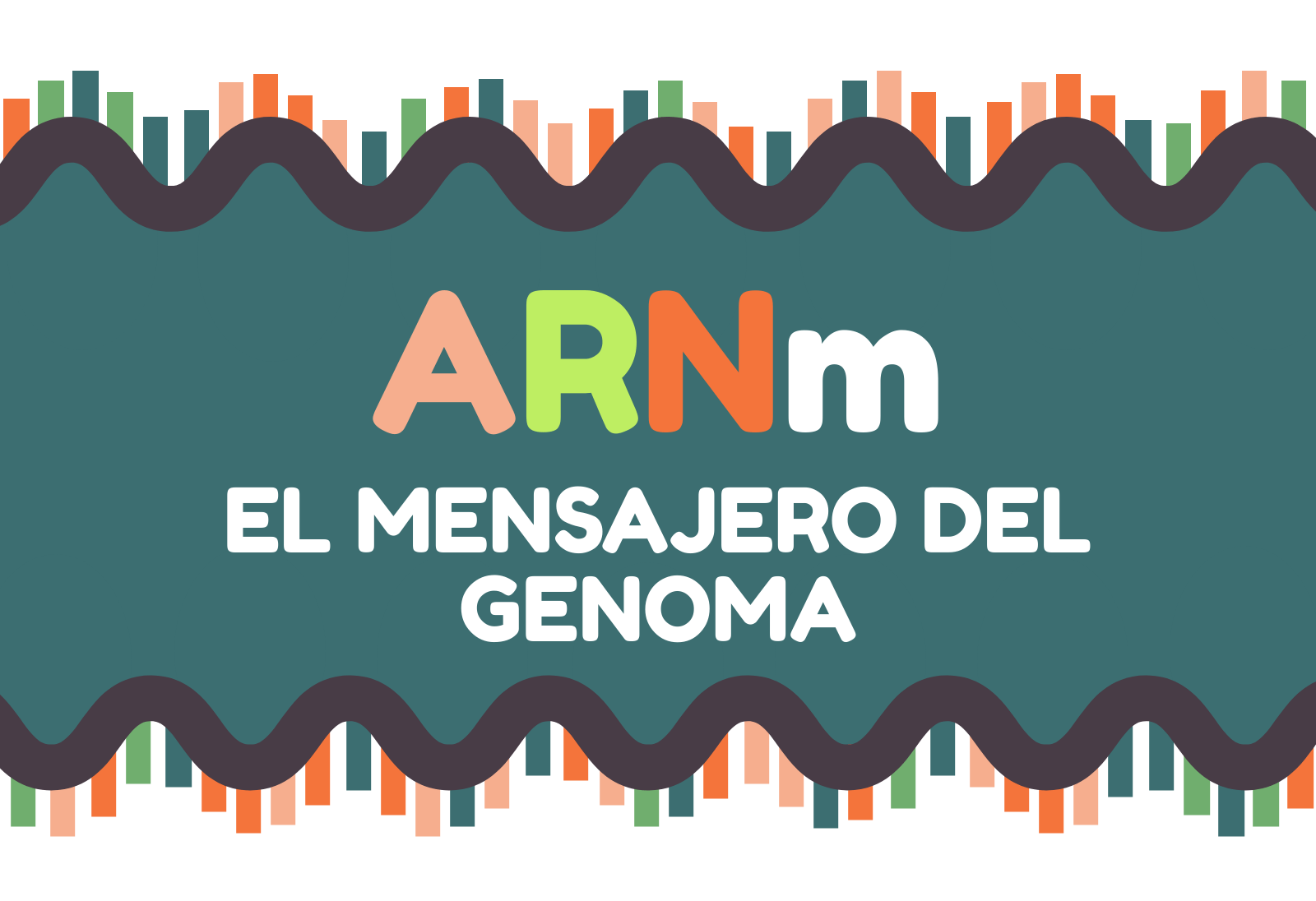 ARN mensajero ARN mensajero