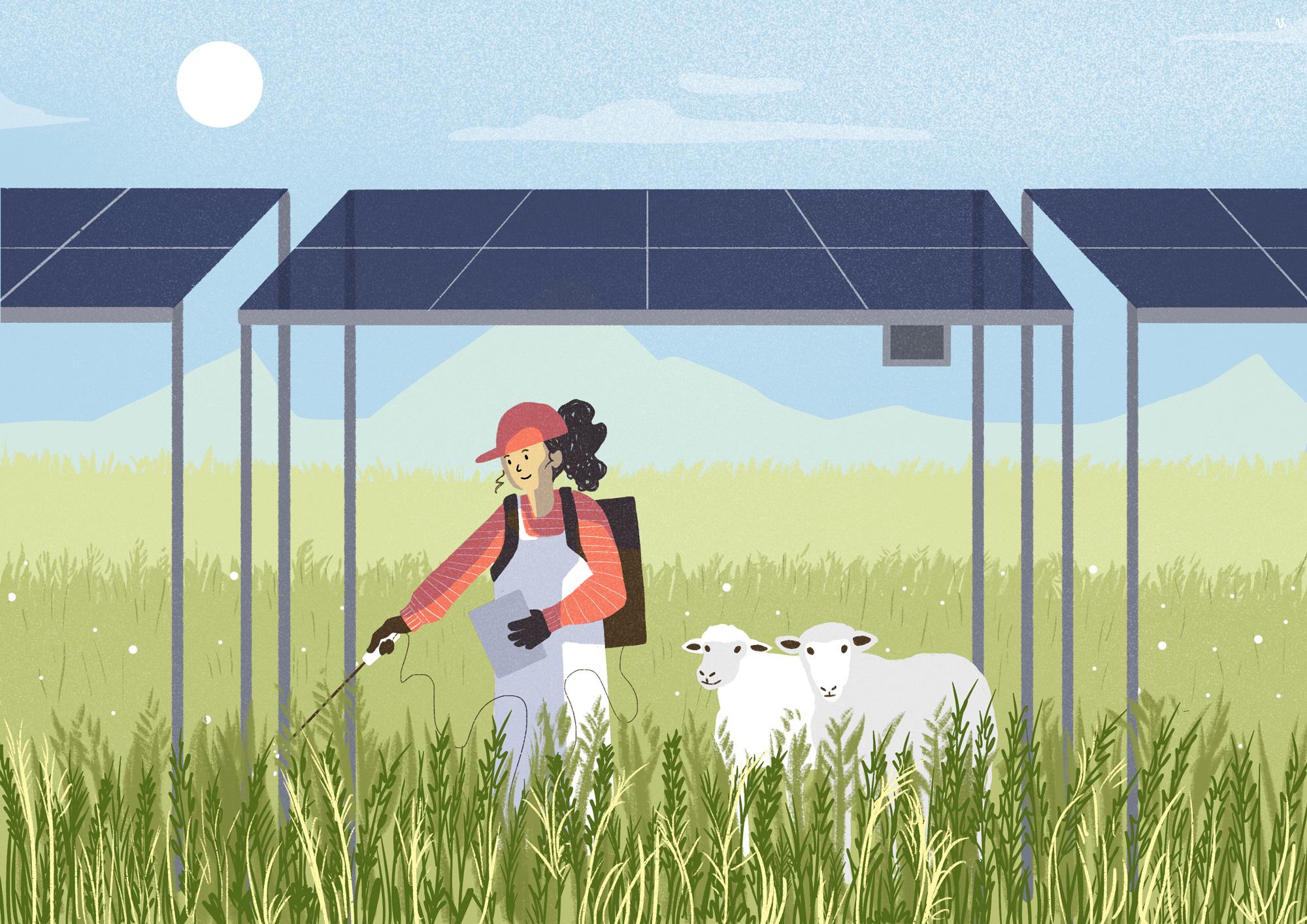 Panel solar en campo