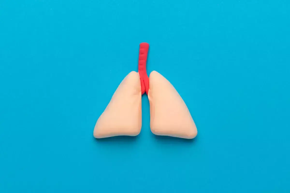 Perfilado inmunitario pulmonar Sistema inmunitario pulmonar