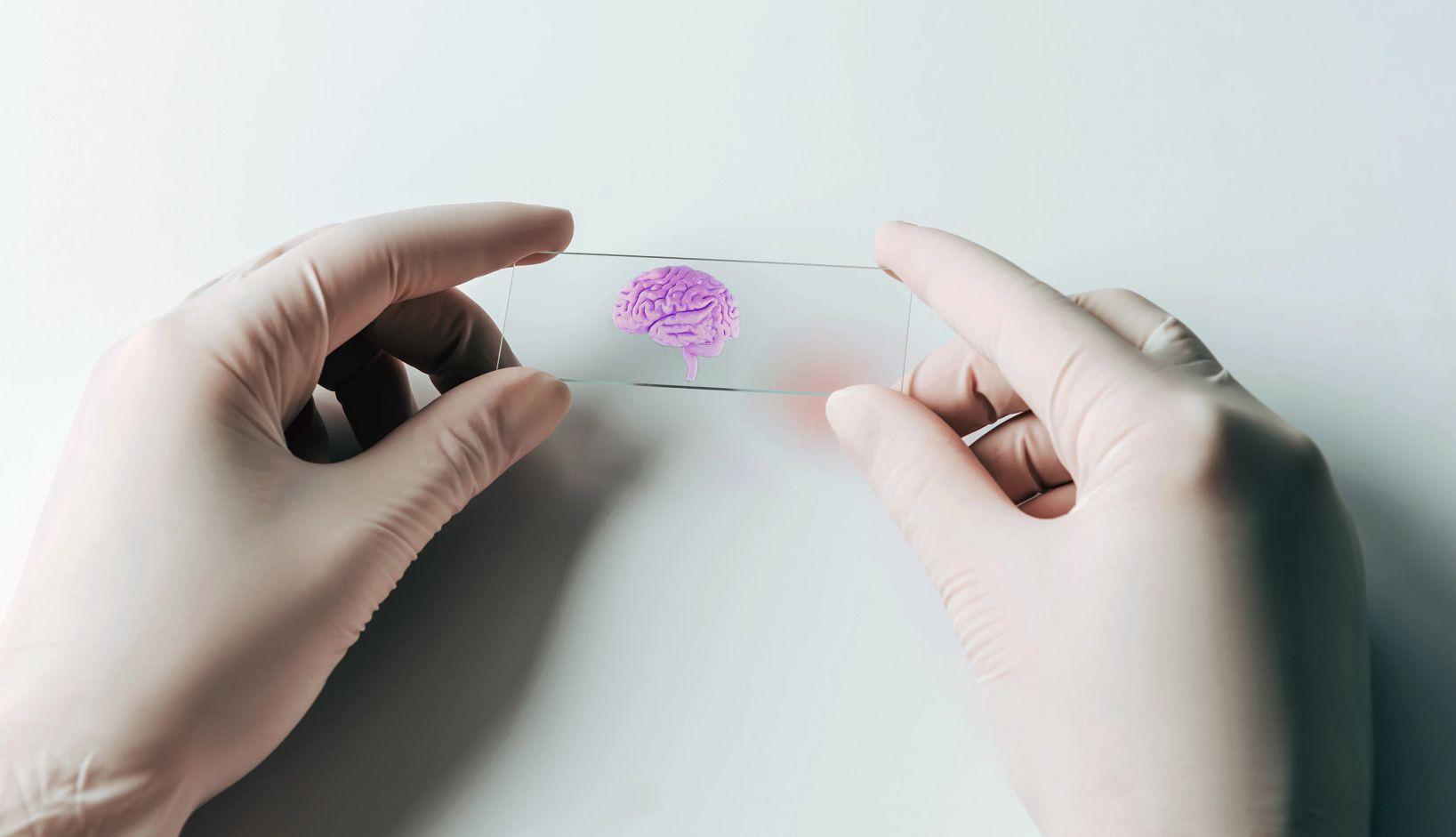 Laboratorio médico
