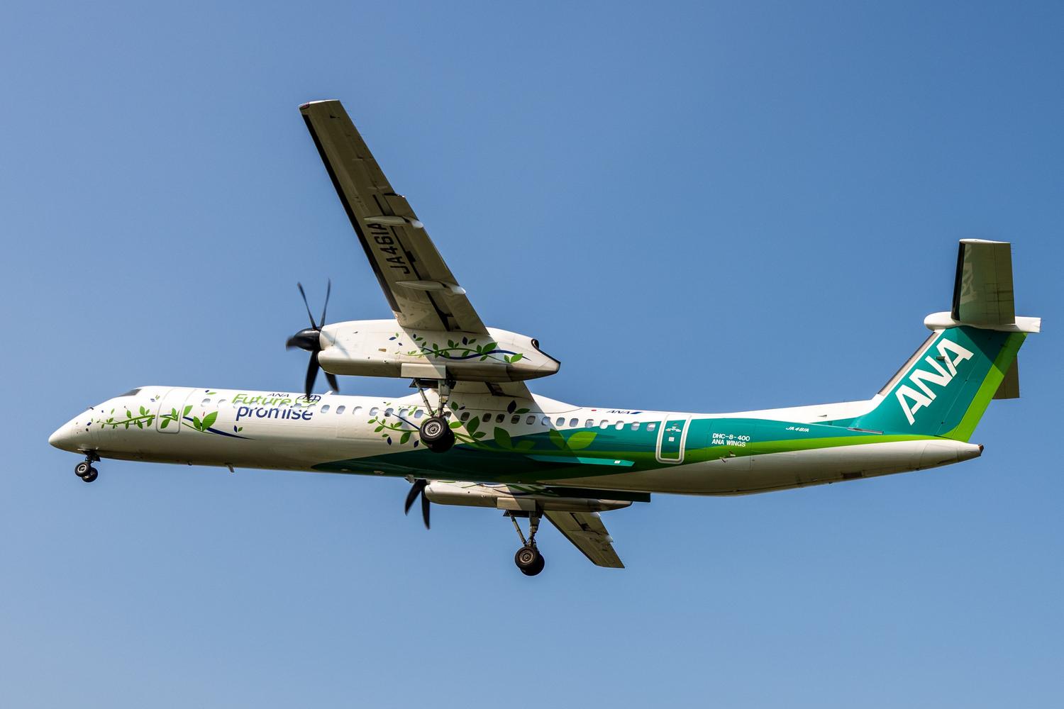 Avión con librea sostenible "Future Promise" y motivos de hojas verdes volando en un cielo azul.