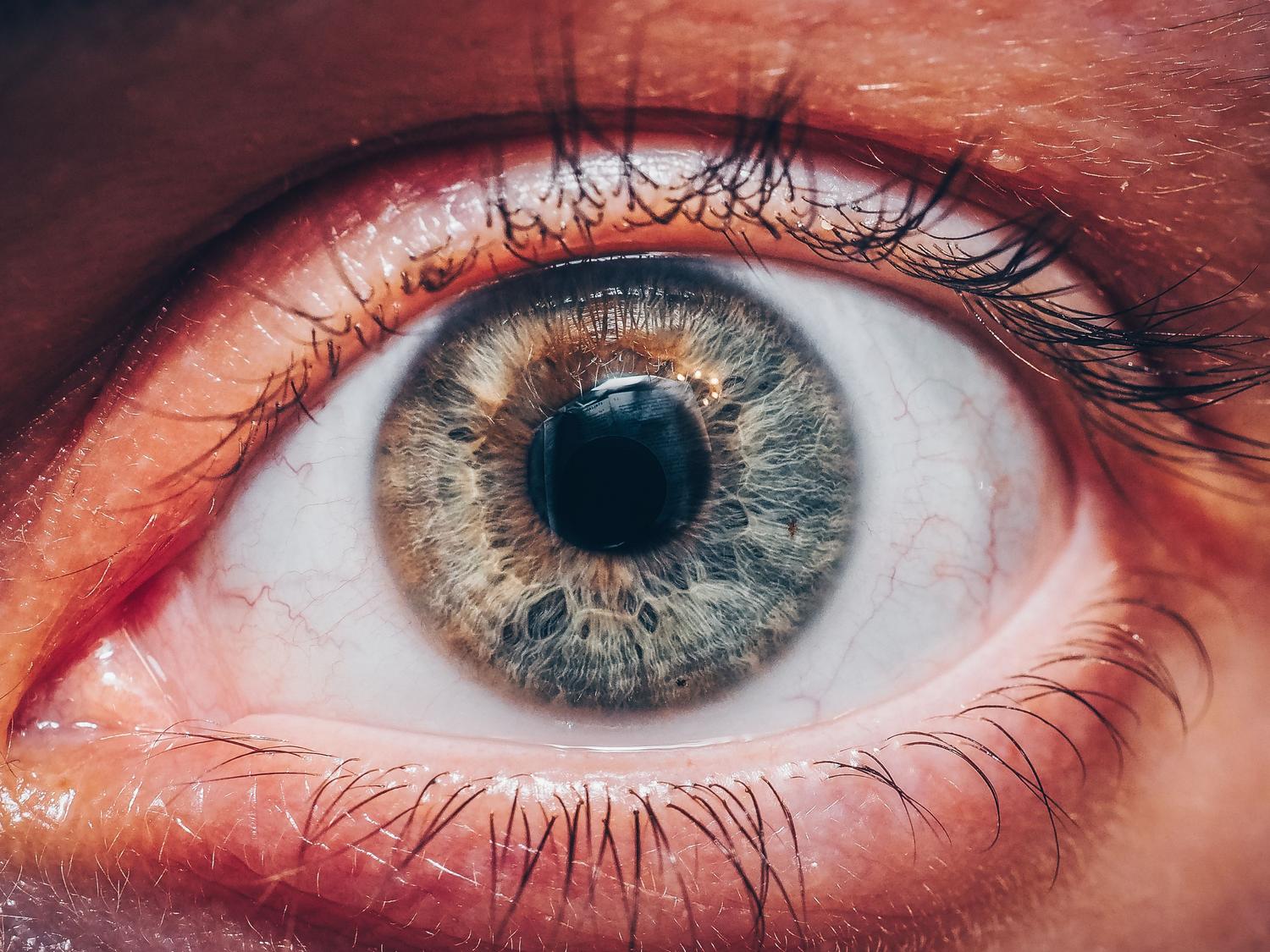 Primer plano detallado de un ojo humano resaltando los detalles del iris y las pestañas.