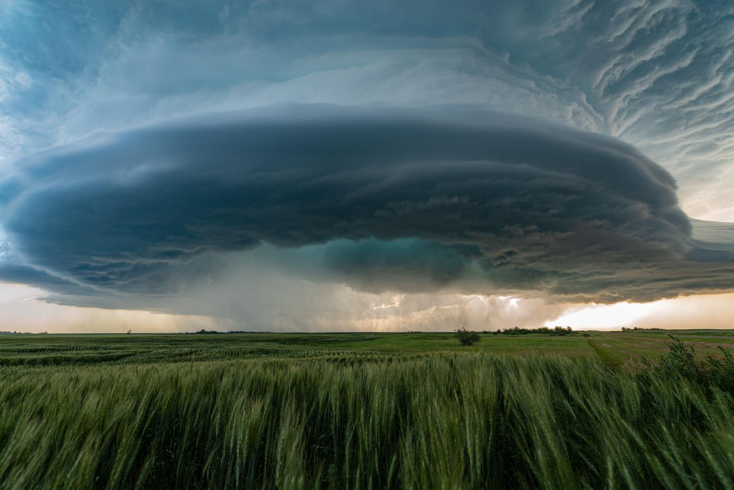 Imponente nube de tormenta supercelda sobre el campo, origen típico de los reventones térmicos.