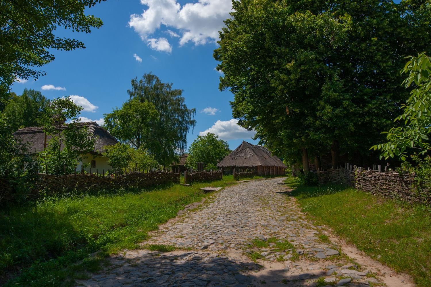 Camino rural soleado que evoca el entorno donde se desarrollaba la sabiduría popular y el estudio de la etno-ornitología.