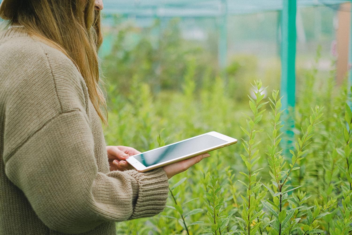 Investigadora utilizando una tablet para registrar datos botánicos en un invernadero, representando la ciencia de datos aplicada a la naturaleza.