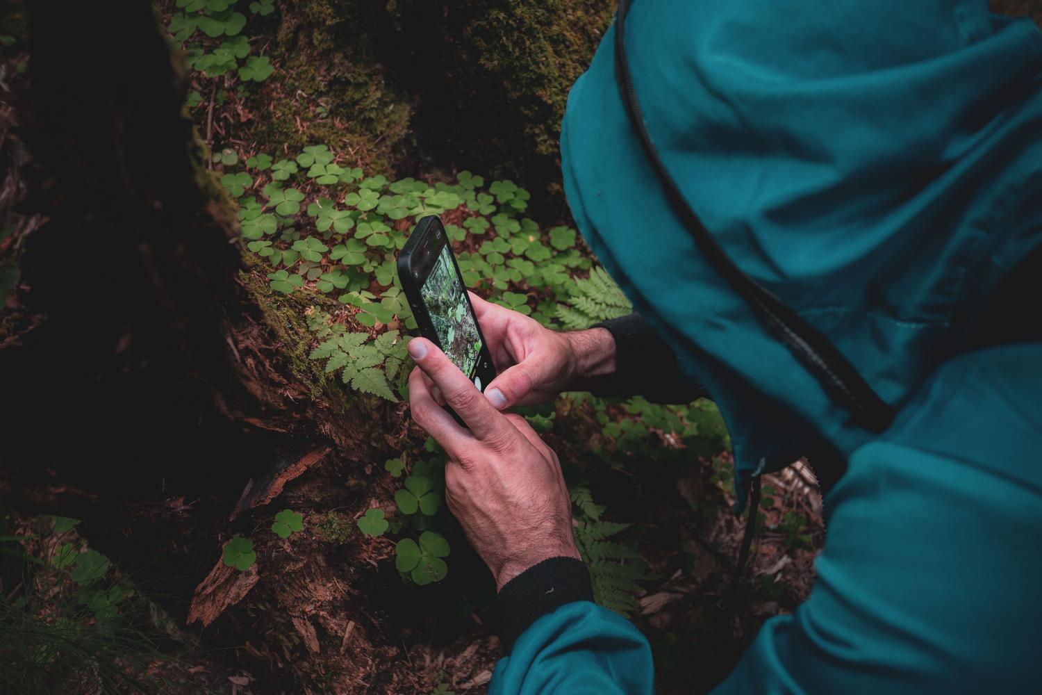 Persona utilizando un smartphone para fotografiar plantas en el bosque, ejemplificando la recolección de datos a través de la ciencia ciudadana.